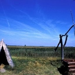  Rathausstüberl Weinlaubengasthof Fotos