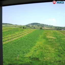 View Haus Böhm Frühstückspension Fotos