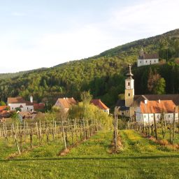 Entorno Zum Schwan Fotos