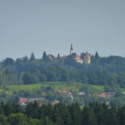 Entorno Zum Schwan Fotos