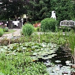 Garden St. Hubertushof Fotos