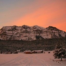 Widok z hotelu Taube Gasthof Fotos