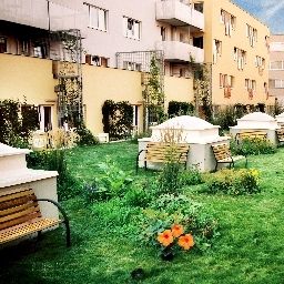 Jardin Gartenhotel Altmannsdorf Fotos