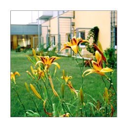 Terrasse Gartenhotel Altmannsdorf Fotos