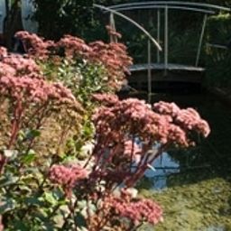 Garden Weinland Fotos