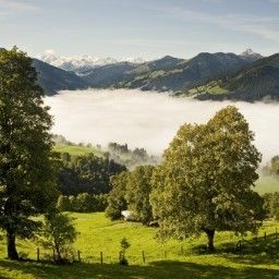 Vista Oberaigen Gasthof Fotos