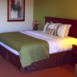 Pokój Holiday Inn SADDLE BROOK Fotos