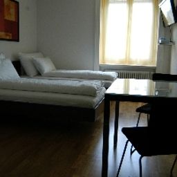  Löwen Fotos