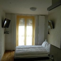  Löwen Fotos