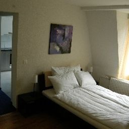  Löwen Fotos