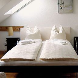 Room Löwen Fotos