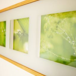  Ziegelhüsi Gasthof Fotos