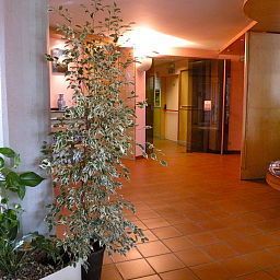 Hall Oleggio Malpensa Fotos
