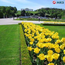 Vue extérieure Pension Schönbrunn Fotos