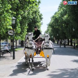 Vue extérieure Pension Schönbrunn Fotos
