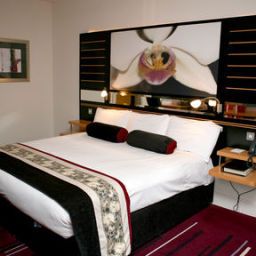 Chambre Crowne Plaza DUBLIN - NORTHWOOD Fotos
