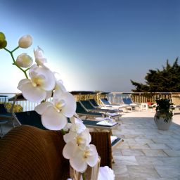 Terrace Miramare Fotos