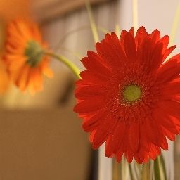  NH Timisoara Fotos