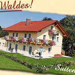 Widok zewnętrzny Stemp Landhotel Fotos