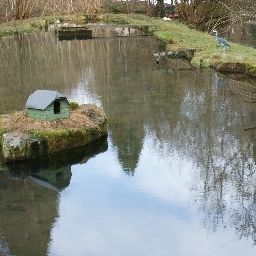 Garten Gut Lauterbad Fotos