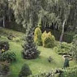 Giardino Zum Grünen Wald Fotos