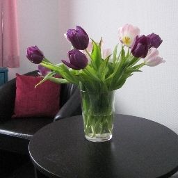 Innenansicht Anlage Fotos