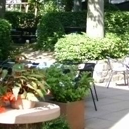 Jardin ISG-Hotel Fotos