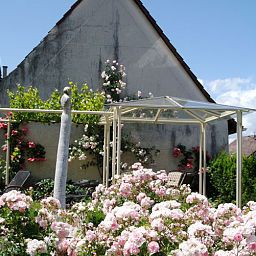 Garden Schwarzer Adler Gasthof und Weingut Fotos
