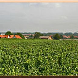 Vue Villa Toskana Bornheim Fotos