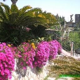 Jardin Mini Fotos