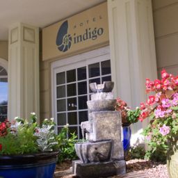  Hotel Indigo HOUSTON AT THE GALLERIA Fotos