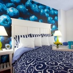 Chambre Hotel Indigo HOUSTON AT THE GALLERIA Fotos