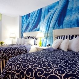 Chambre Hotel Indigo HOUSTON AT THE GALLERIA Fotos