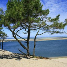 Wellness/fitness area Holiday Inn BORDEAUX - SUD PESSAC Fotos