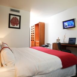 Room Holiday Inn BORDEAUX - SUD PESSAC Fotos