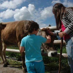 FAMILY HOTEL ADRIANA Concei 