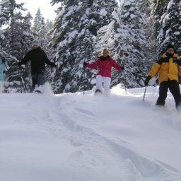  Asi-Lodge Tirol Fotos