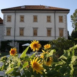 Vue Art Hotel Varese Fotos