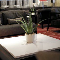 Холл Dublin Radisson Blu Royal Hotel Fotos