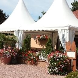 Terraza Au Relais d'Alsace Logis Fotos