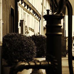 View Zum Schwan hist. Weinstube Fotos