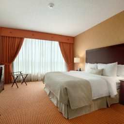 Suite Embassy Suites Huntsville  Hotel  Spa Fotos