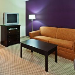 Suite Holiday Inn Express Hotel & Suites CHATTANOOGA-HIXSON Fotos