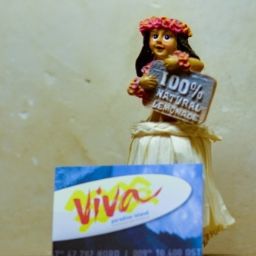  Viva paradise island Fotos