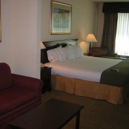 Suite Holiday Inn Express Hotel & Suites I-26 & US 29 AT WESTGATE MALL Fotos