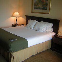 Chambre Holiday Inn Express Hotel & Suites I-26 & US 29 AT WESTGATE MALL Fotos