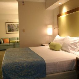 Chambre SpringHill Suites Pittsburgh North Shore Fotos