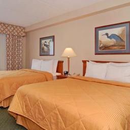 Room Comfort Inn & Suites Sanford Fotos