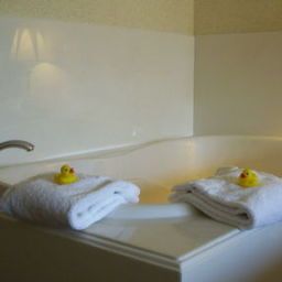 Suite Holiday Inn Express Hotel & Suites HOUSTON MEDICAL CENTER Fotos