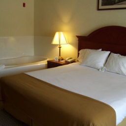 Suite Holiday Inn Express Hotel & Suites HOUSTON MEDICAL CENTER Fotos